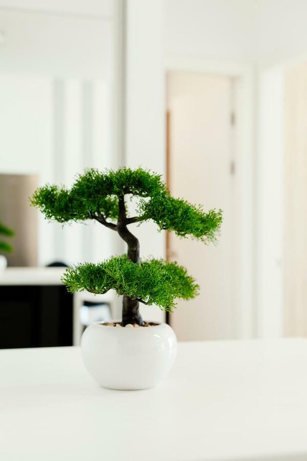 New Luxury Apartment Nives On Seaside 斯普利特 外观 照片